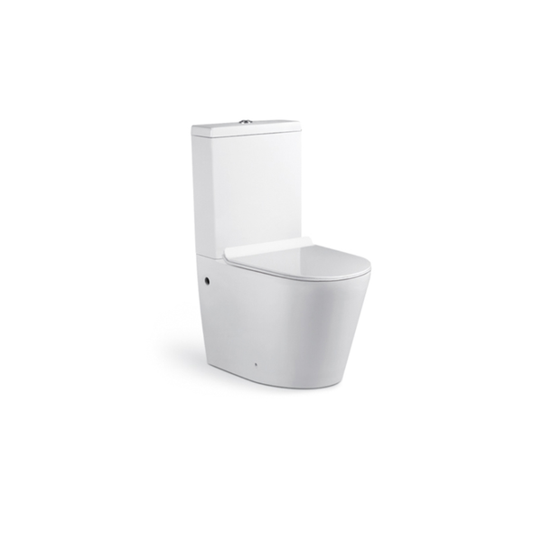 Modern Two-Piece Toilet